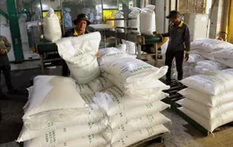 Làn sóng giảm giá "phủ bóng" thị trường nông sản thế giới