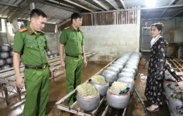 Phát hiện cơ sở sản xuất giá đỗ ở Hà Tĩnh dùng chất cấm "nước kẹo"