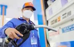 Giá xăng RON 95 về sát 20.000 đồng mỗi lít