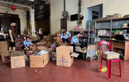 Ninh Bình: Phát hiện thu giữ hàng nghìn sản phẩm và thực phẩm nhập lậu