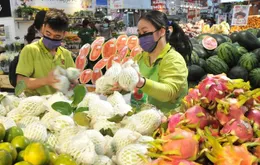 Xuất khẩu rau quả: Bứt tốc sau giai đoạn chững lại, hướng đến mốc kỷ lục mới