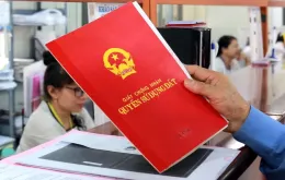 Không còn hồ sơ gốc, đất vẫn có thể được cấp sổ đỏ