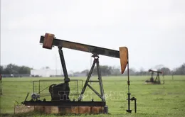 Giá dầu tăng khoảng 1% khi lo ngại về nguồn cung lắng dịu