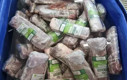 Khởi tố 4 đối tượng sản xuất “thịt bò Wagyu” giả từ thịt trâu