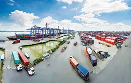 Chọn 6/5 làm Ngày Logistics Việt Nam