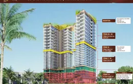 VTVC Việt nam trúng thầu gói san lấp và thi công bóc hữu cơ dự án gần 3 hecta