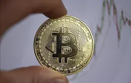 Bitcoin giảm hơn 30% giá trị từ đầu năm