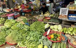 TP Hồ Chí Minh: Mưa liên tục làm nhiều diện tích rau bị ảnh hưởng, giá tăng cao