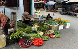 Giá rau xanh Hà Nội vẫn “neo cao”