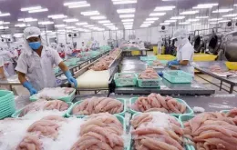 Xuất khẩu thủy sản hướng tới mục tiêu 11 tỷ USD năm 2025