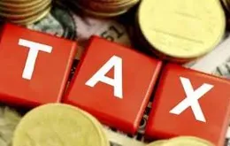 Đề xuất mức xử phạt hành vi trốn thuế trong lĩnh vực hải quan