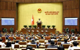 Từ 1/7/2026, siết quản lý livestream bán hàng và định danh người bán trên nền tảng số