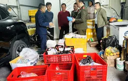 Ninh Bình phát hiện gần 1,2 tấn thực phẩm đông lạnh không rõ nguồn gốc, xuất xứ