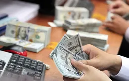 Quy định về quản lý ngoại hối tại Trung tâm tài chính quốc tế