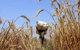 Giá hàng hóa có thể chạm đáy mới vào năm 2026