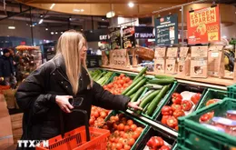 Kinh tế thế giới năm 2026 nhiều khả năng sẽ chậm lại