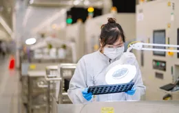 Vượt áp lực chi phí, doanh nghiệp Việt tìm lối đi bằng hiệu suất