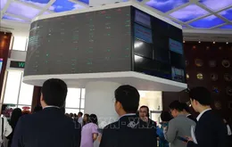 Năm 2026 - Bước ngoặt nâng hạng và tái định giá thị trường chứng khoán Việt Nam