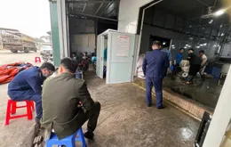 Phát hiện hơn 60 tấn nguyên liệu, thực phẩm không rõ nguồn gốc tại cơ sở chế biến lòng lợn ở Hà Nội