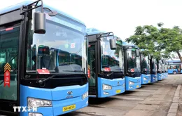 TP. Hồ Chí Minh miễn vé xe buýt ngày thứ Sáu hàng tuần khi thanh toán qua ví điện tử