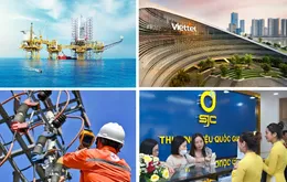 20 "ông lớn" nhà nước bước vào đường đua tái cơ cấu vốn