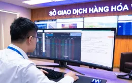 Điều kiện thành lập Sở giao dịch hàng hóa