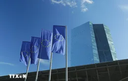 Các ngân hàng lớn dự báo ECB có thể tăng lãi suất vào tháng 4/2026