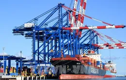 IMF hạ dự báo tăng trưởng kinh tế toàn cầu