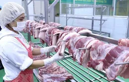 Vận hành sàn giao dịch thịt lợn từ cuối tháng 4