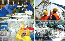 Bãi bỏ 13 thủ tục liên quan đến doanh nghiệp Nhà nước