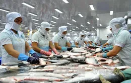 ASEAN - Thị trường tiềm năng cho xuất khẩu cá tra