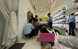 Hà Nội: Tạm giữ hàng nghìn sản phẩm nghi giả mạo nhiều thương hiệu nổi tiếng