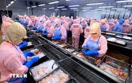 Xuất khẩu nông, lâm, thủy sản 5 tháng tăng trên 9%