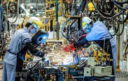 Kinh tế 5 tháng ghi nhận nhiều điểm sáng, nhập siêu và lạm phát cần theo dõi