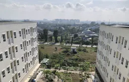 13 đơn vị tại TP. Hồ Chí Minh đăng ký xây nhà cho thuê
