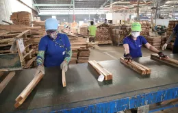 Kinh tế TP Hồ Chí Minh: Tín dụng hỗ trợ doanh nghiệp tăng hơn 14%, gỡ nút thắt tiếp cận vốn