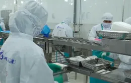 Xuất khẩu nông, lâm, thủy sản đạt gần 36 tỷ USD