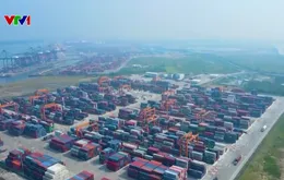 Cải cách thể chế mạnh mẽ để mở đường cho tăng trưởng