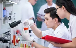 Đề xuất miễn thuế thu nhập 5 năm cho nhân tài