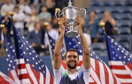 Hạ Nishikori, Cilic vô địch US Open 2014