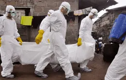 Liberia hủy bầu cử Thượng viện do dịch Ebola