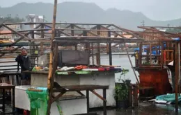 Bão Hagupit suy yếu sau 2 ngày đổ bộ Philippines