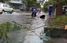 Hải Phòng sau bão số 3: Nước ngập, cây đổ, giao thông gặp khó