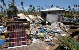 Bão Maysak có khả năng đi vào Biển Đông