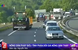 Nông dân Pháp biểu tình phản đối giá nông sản quá thấp