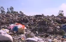 Hàng trăm hộ dân ở Cần Thơ ‘khốn khổ’ với bãi rác 3 không