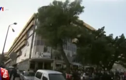 Văn phòng hãng tin RT của Nga bị tấn công bằng dao