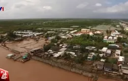 Công trình kè ngầm tạo bãi tại Cà Mau phát huy hiệu quả trước biến đổi khí hậu