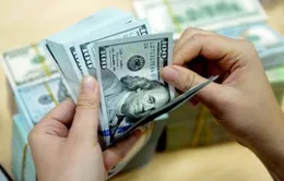 Tăng lãi suất USD, doanh nghiệp nhập khẩu lo lắng