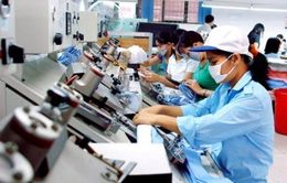 Thứ hạng môi trường kinh doanh Việt Nam tăng 3 bậc